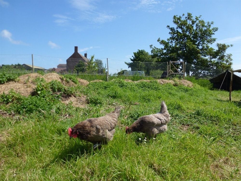 Manor Farm Stay Sutton-on-Sea Exterior foto